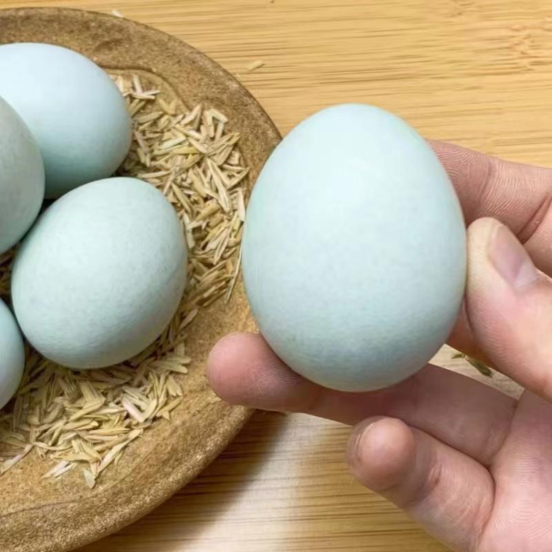 精品绿壳鸡蛋绿壳乌鸡蛋原场直发量大价更优！