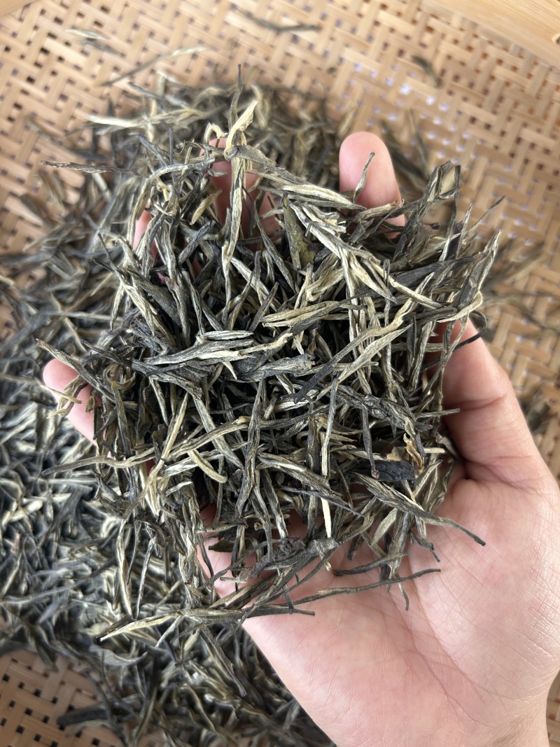 回龙直条炒青
