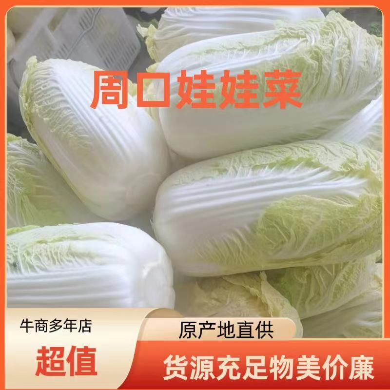 【精品】娃娃菜，河南小娃娃菜，品质好，质量优，欢迎选购