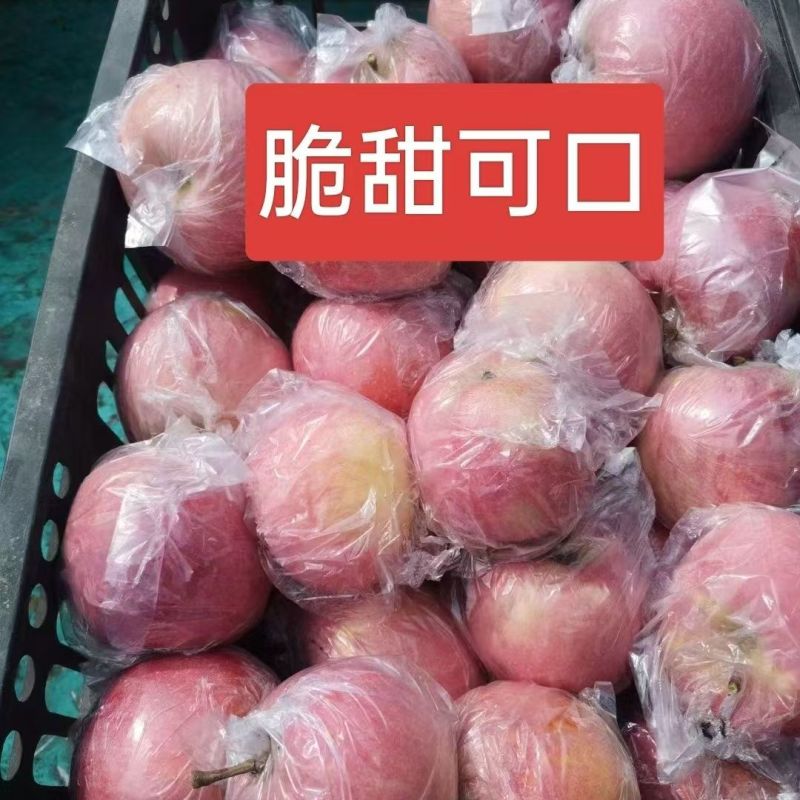 山西运城红富士苹果冰糖心苹果口感清脆欢迎咨询