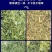 铡草机新型卧式铡草揉丝粉碎一体机干湿两用大小型养殖家用切