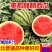 精品无籽美都麒麟西瓜现摘现发皮薄多汁口感甘甜