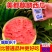精品无籽美都麒麟西瓜现摘现发皮薄多汁口感甘甜