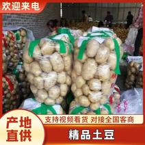 南阳大量供应精品土豆黄心沃土荷兰土豆超市市场