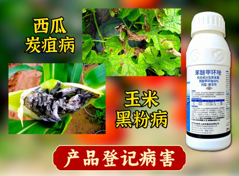 40%苯醚甲环唑杀菌剂炭疽病黑粉病叶斑病蔬菜果树农药