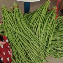 优质豆角长条青豆角优质货价格低欢迎咨询下单
