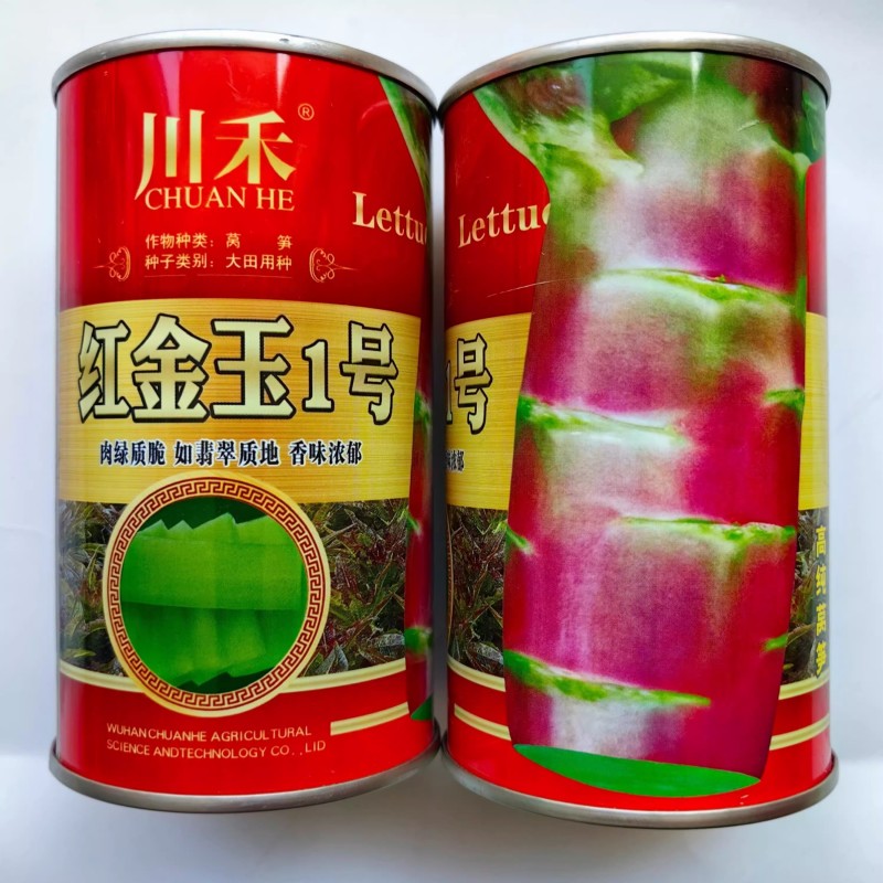 红金玉1号莴笋种子红皮莴笋莴耐寒肉绿质脆皮薄肉厚