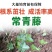 基地常春藤四季青绿植爬藤植物围墙遮阴耐寒园林地被绿化苗木