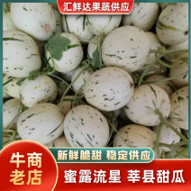 【蜜露流星】月露甜瓜/梦露甜瓜/莘县甜瓜/全国代收代发