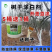 美化园林果树防冻涂白剂大树防虫涂白剂树木杀菌树干刷白保暖