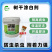 美化园林果树防冻涂白剂大树防虫涂白剂树木杀菌树干刷白保暖