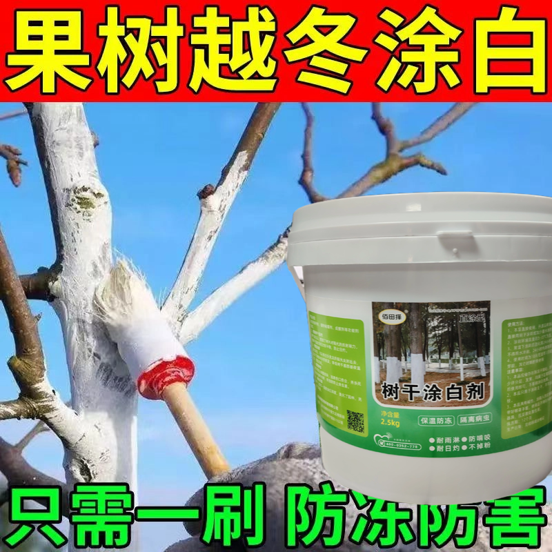 美化园林果树防冻涂白剂大树防虫涂白剂树木杀菌树干刷白保暖