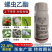 螺虫乙酯蚧壳虫蚜虫蓟马红蜘蛛药梨木虱亩旺特果树蔬菜花卉杀