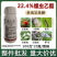 螺虫乙酯蚧壳虫蚜虫蓟马红蜘蛛药梨木虱亩旺特果树蔬菜花卉杀