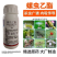 螺虫乙酯蚧壳虫蚜虫蓟马红蜘蛛药梨木虱亩旺特果树蔬菜花卉杀