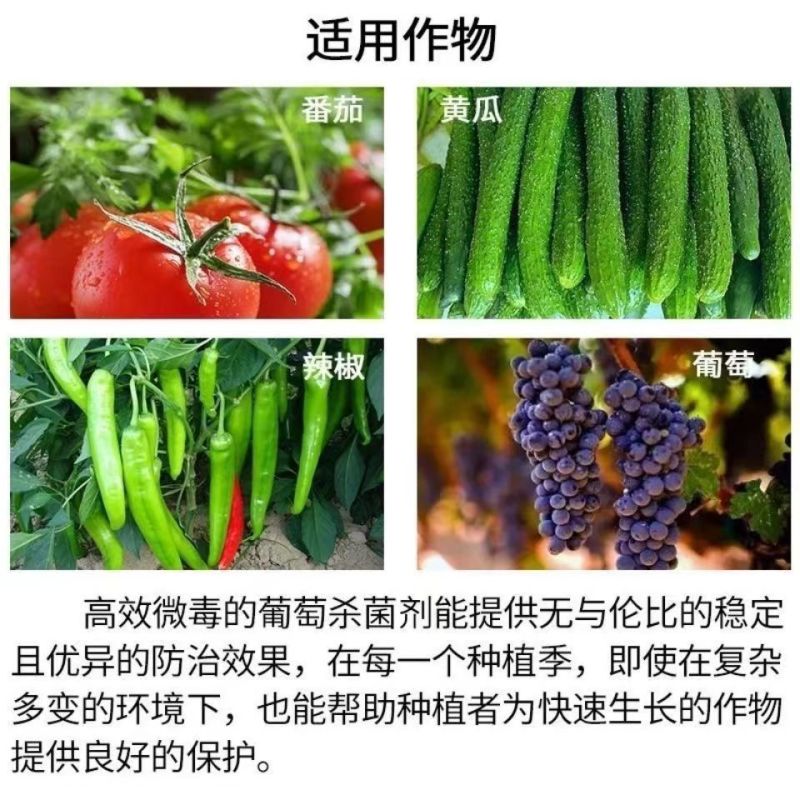 霜霉病灰霉病强力药灰飞霜绝丝瓜黄西瓜草莓果树蔬菜通用正品