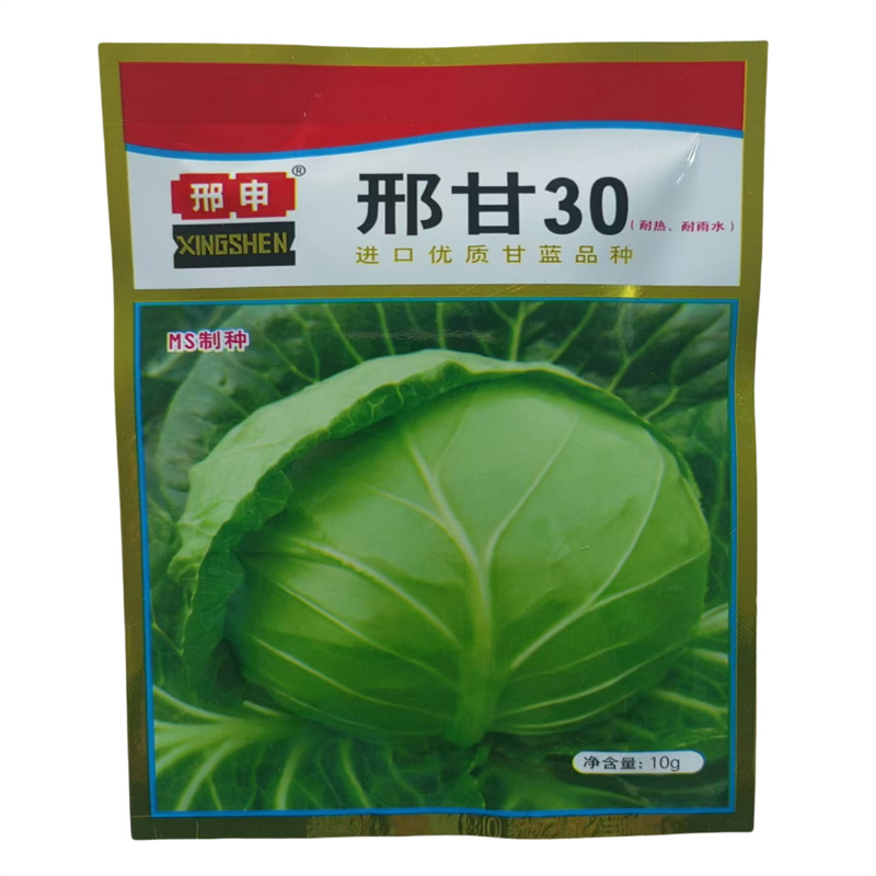 邢甘30甘蓝种子进口优质耐热耐雨水MS制种