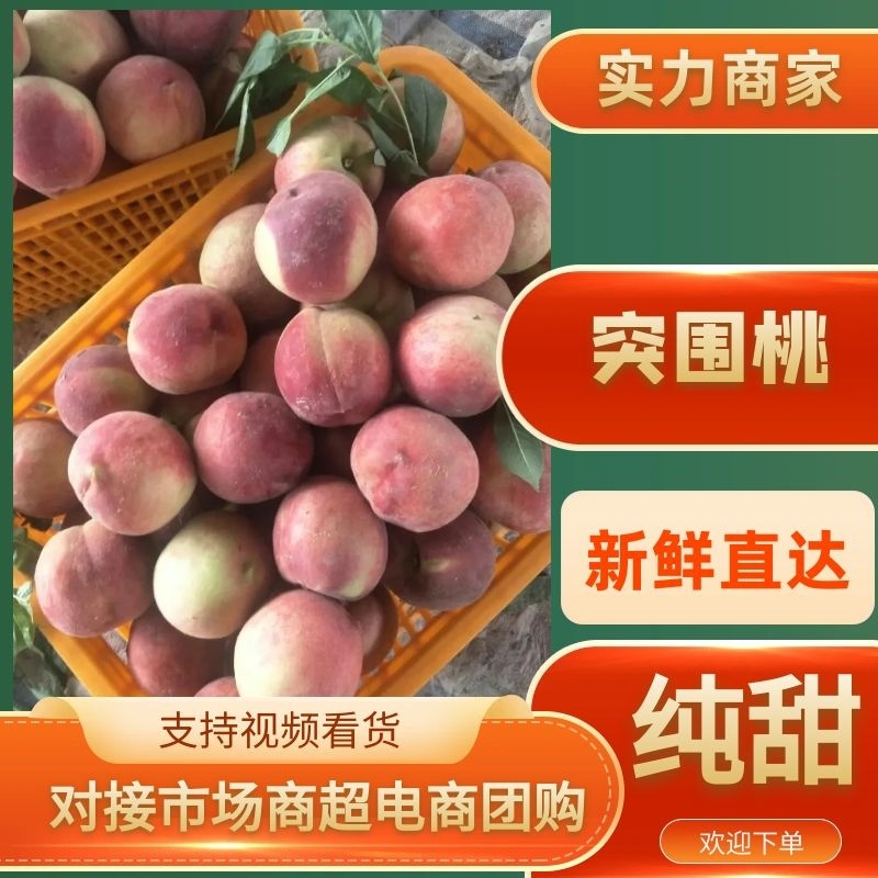 精品毛桃汉中突围桃口感甜质量好对接商超批发档口等