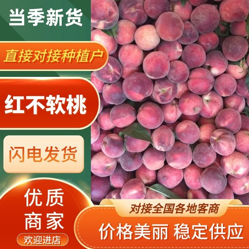精品毛桃红不软桃佳美颜色亮口感好质量保证全国发货