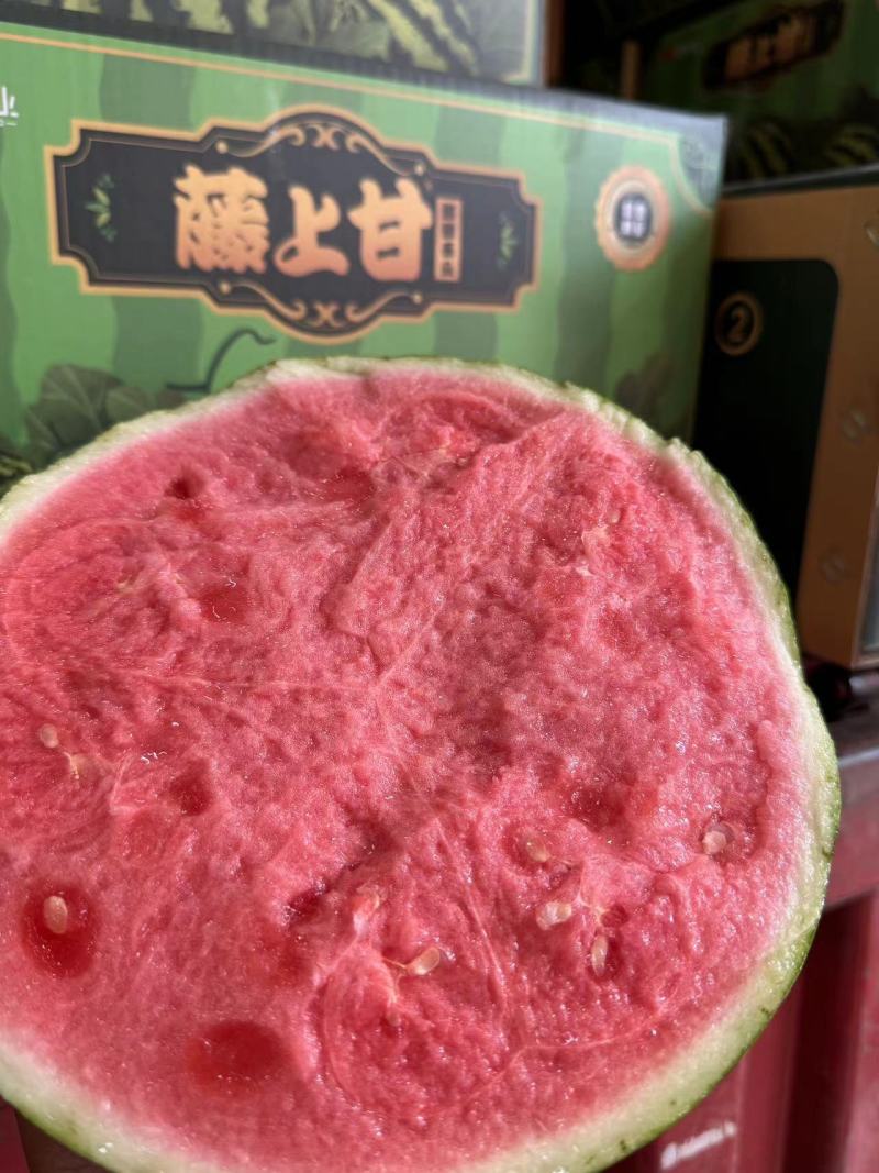 甜王-美都西瓜、8424/小西瓜、全国可发质量三包！！
