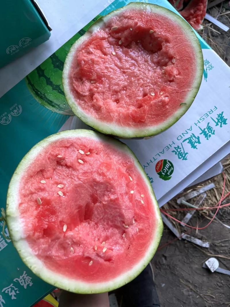 （实力供货）河南西瓜无籽头茬美都西瓜万亩基地按需包装