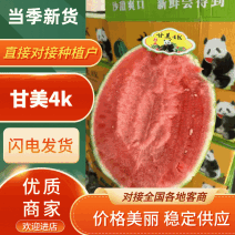 甘美4K大量上市，糖度13+，对接各大商超市场品质保证
