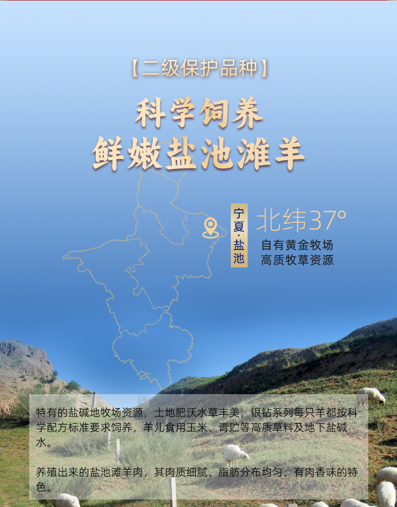 宁夏盐池滩羊蝎子新鲜带肉生鲜冷冻家用火锅