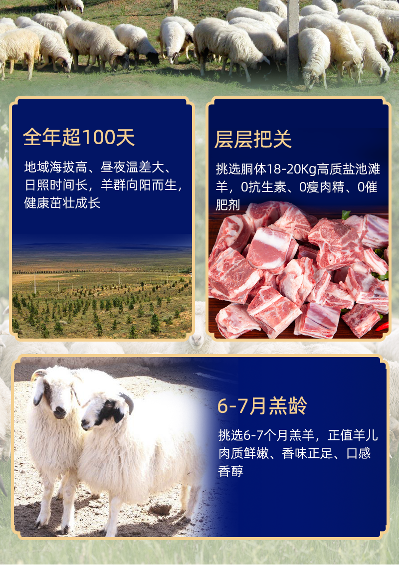 宁夏盐池滩羊蝎子新鲜带肉生鲜冷冻家用火锅
