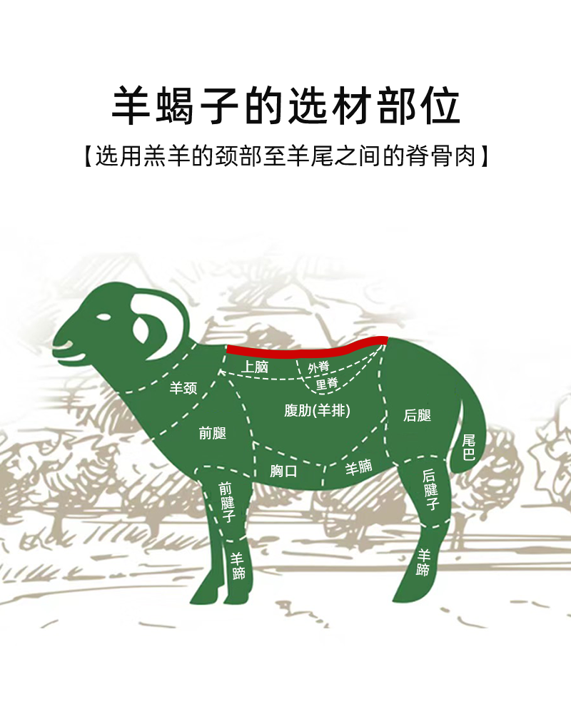 宁夏盐池滩羊蝎子新鲜带肉生鲜冷冻家用火锅