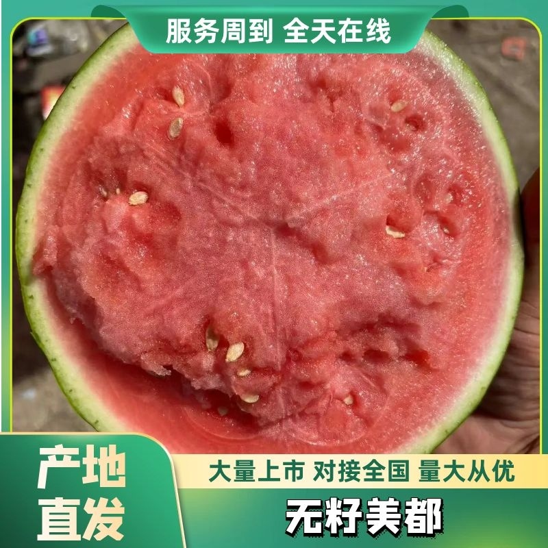 （实力供货）河南西瓜无籽头茬美都西瓜万亩基地按需包装