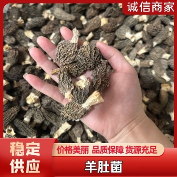 干货羊肚菌品质保证诚信经营量大从优欢迎咨询