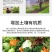 矿源黄腐酸钾水溶肥料冲施肥正品腐殖酸叶面生根壮苗蔬菜果树