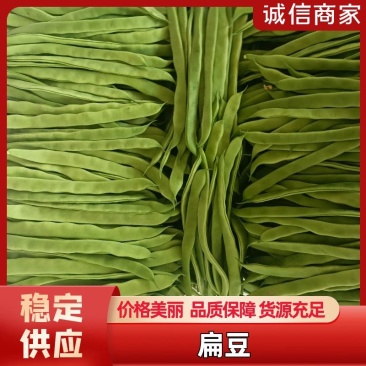 应县扁豆角，精品扁芸豆，条型好，产地直供货源充足