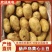 辽宁土豆黄心土豆V7沃土品种齐全货源充足量大从优质量保证