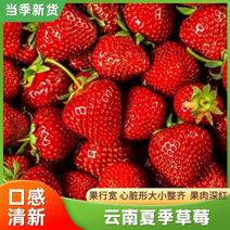 草莓切片云南夏草莓果肉鲜红丰盈口感清新