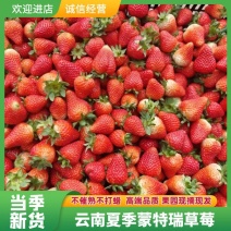 【精品】价格每日随行就市，一手货源夏季蒙特瑞草莓品质保证