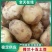 优质荷兰15土豆，价格0.3元左右山东产地直发