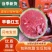 精品全美2K西瓜山东西瓜早春红玉小吊瓜大量供应量大从优