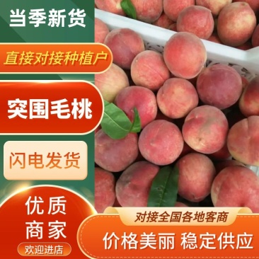 【精品突围桃】新品上市香甜脆个头匀称代发全国价优