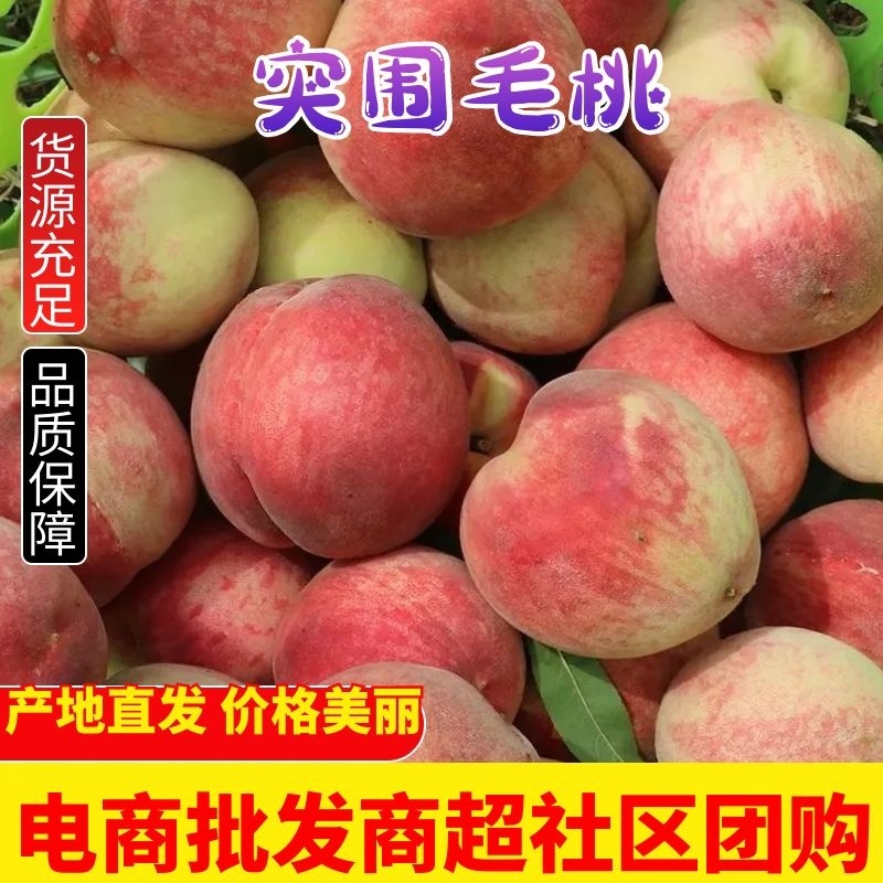 【精品突围桃】新品上市香甜脆个头匀称代发全国价优