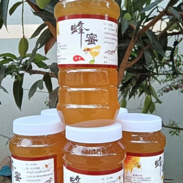 精品土蜂蜜质量保证品种纯正假一赔十欢迎咨询