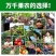 海藻病毒抗体进口番茄黄瓜辣椒西瓜茄子花叶小叶黄叶卷叶病毒