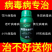 海藻病毒抗体进口番茄黄瓜辣椒西瓜茄子花叶小叶黄叶卷叶病毒