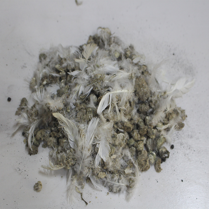绿沃肥业-厂家批发纯小鸡粪蛋营养成分高好吸收