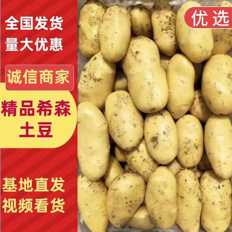 内蒙精品v7沃土等品种齐全供应各大市场电商商超