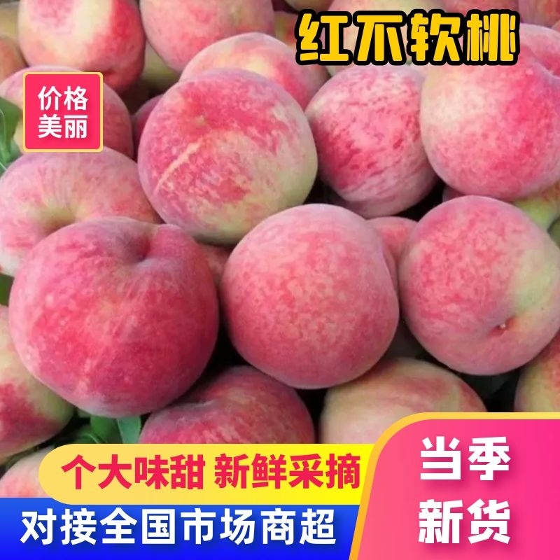 红不软毛桃口感脆甜，大头偏大均匀，离核红肉，大量有货