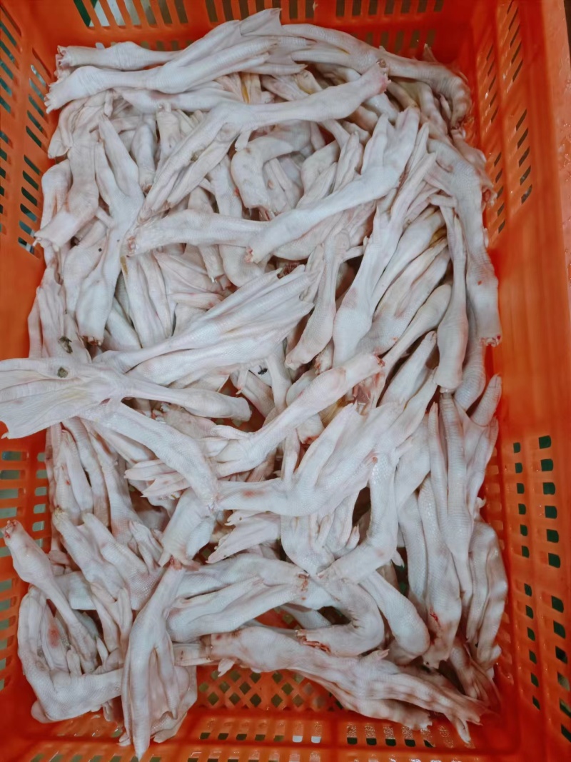 鹅掌精品冷冻鹅掌厂家直供全国冷链发货量大价优欢迎来电