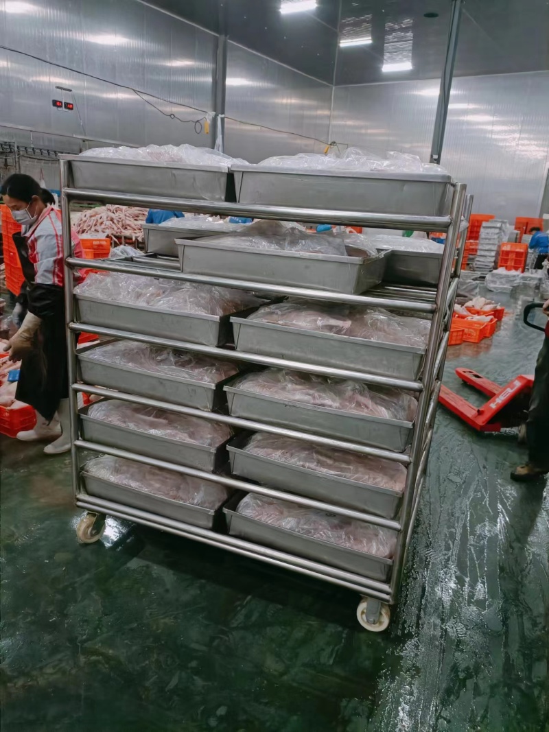 鹅翅新鲜冷冻大鹅翅鹅翅膀鹅二节翅冻鹅翅卤菜食材