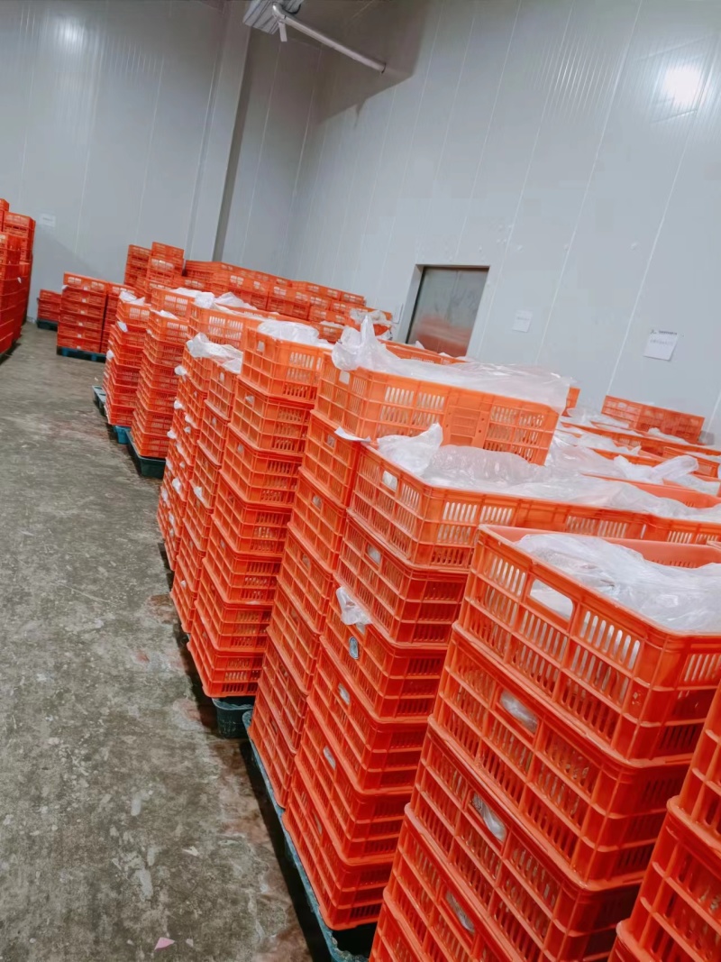 鹅翅新鲜冷冻大鹅翅鹅翅膀鹅二节翅冻鹅翅卤菜食材