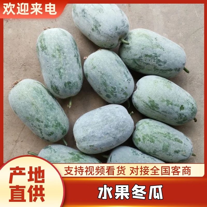 【优质】水果冬瓜三三冬瓜肉质厚果味浓一手货源专业代办